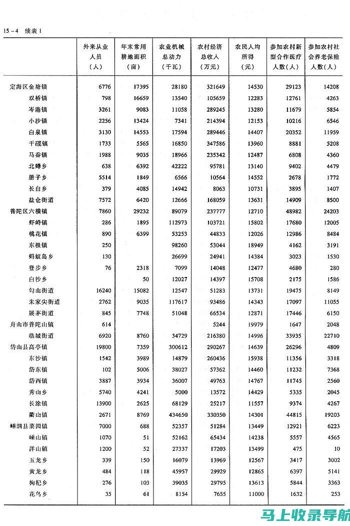 乡镇统计站长：职责履行与个人成长的工作回顾